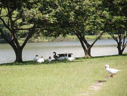 Parque Ecológico do Tietê