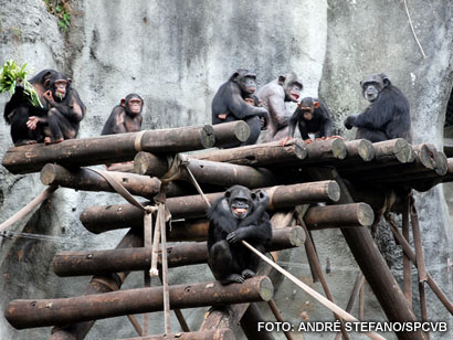 Zoológico de Sao Paulo