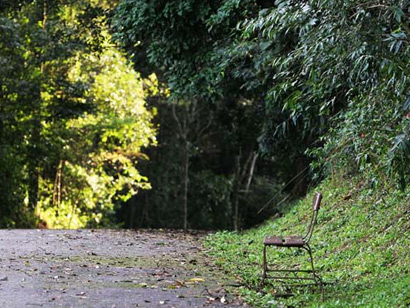 Parque Estadual da Serra da Cantareira