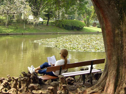 Parque Estadual Horto Florestal