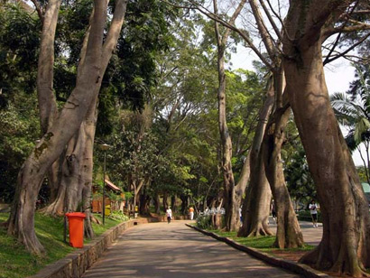 Parque Estadual Horto Florestal