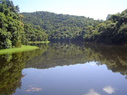 Excursao Serra da Cantareira - Trilha da Cachoeira