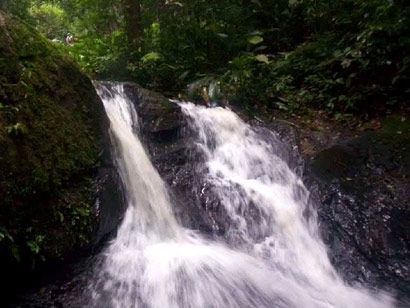 Excursao Serra da Cantareira - Trilha da Cachoeira